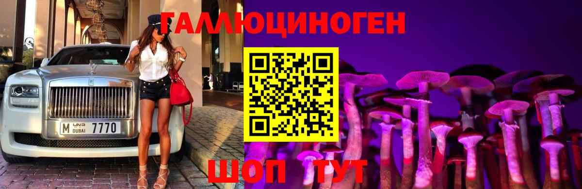 Псилоцибиновые грибы MAGIC MUSHROOMS  Вход с VPN  Ульяновск  Псилоцибиновые грибы прущие грибы 