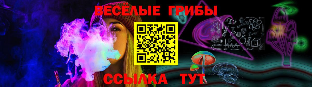 Галлюциногенные грибы прущие грибы Ульяновск